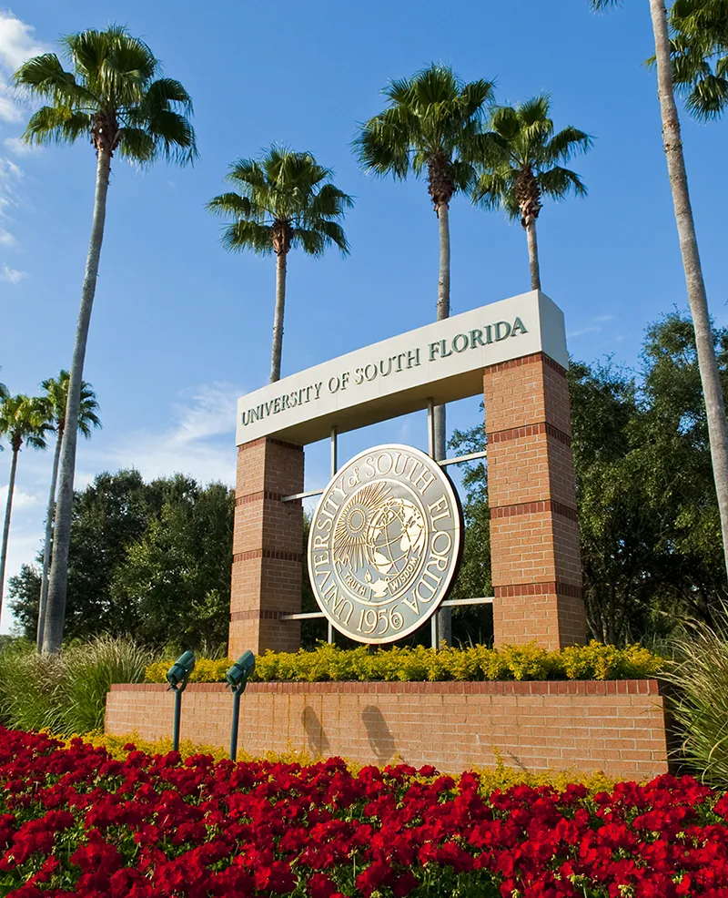 University of South Florida