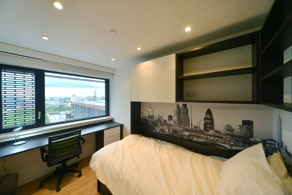 Летняя академическая программа по медицине в DLD London, фото 10