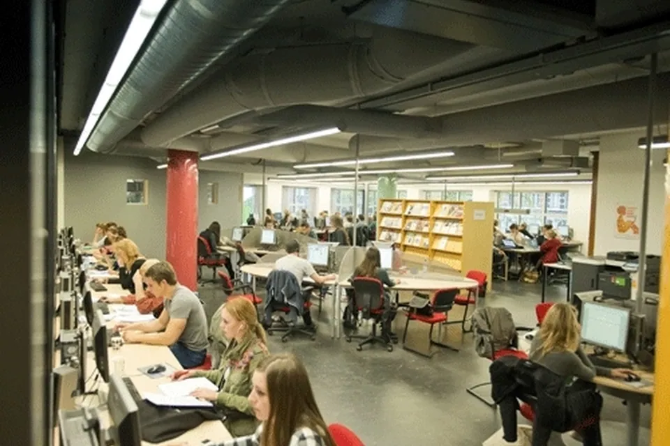 Undergraduate Foundation Programme ONCAMPUS Amsterdam, фото 6