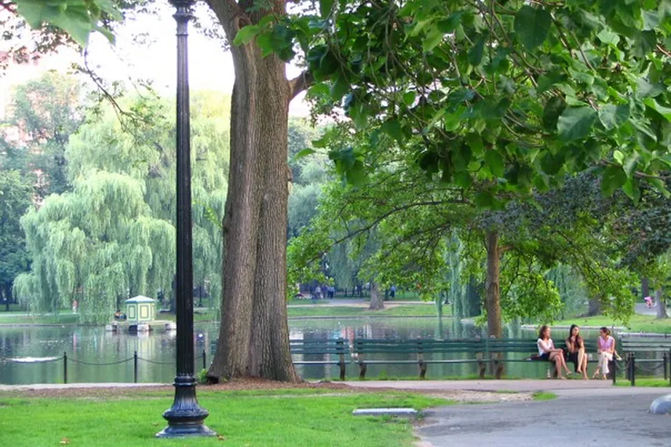 Vacation English Program в FLS Boston Commons, фото 10