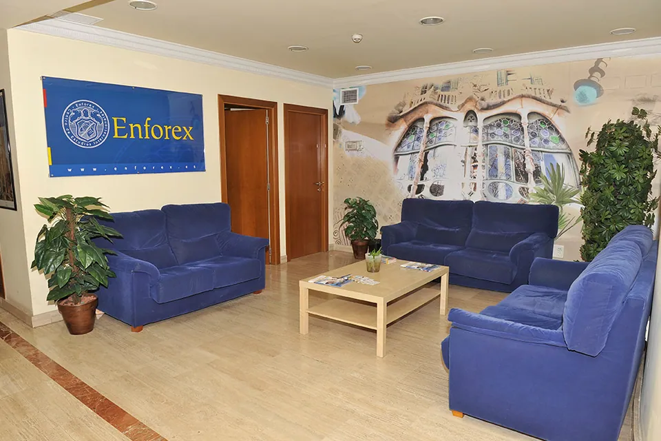 Подготовка к сдаче экзамена DELE в Enforex Барселона, фото 1