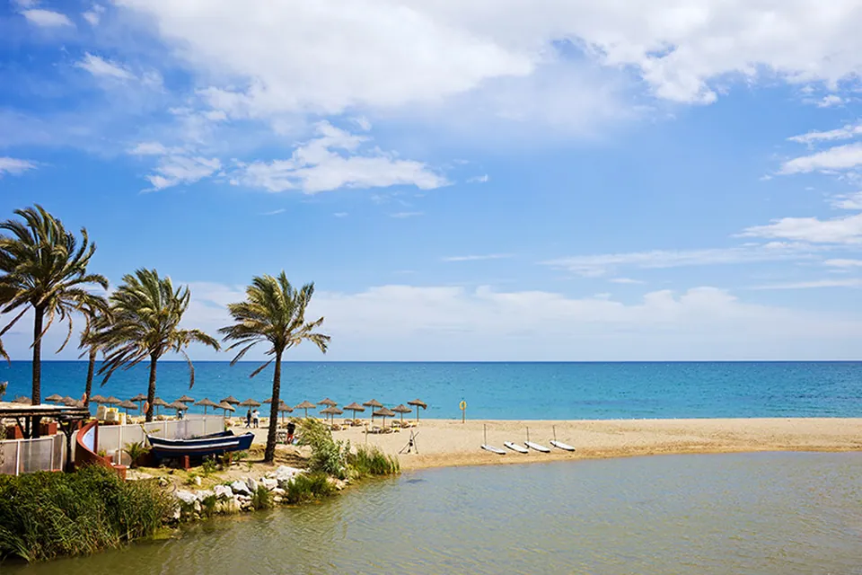Подготовка к сдаче экзамена DELE в Enforex Marbella, фото 9