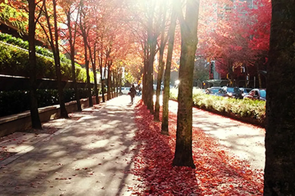 Английский язык в ILSC Vancouver, фото 3