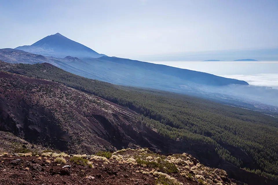 Подготовка к сдаче экзамена DELE в Enforex Tenerife, фото 15
