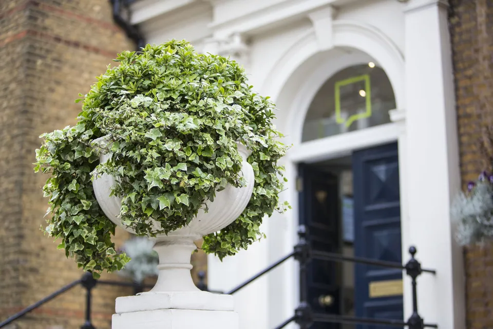 Английский для профессионалов, английский для бизнеса 30+ в London School of English, фото 1