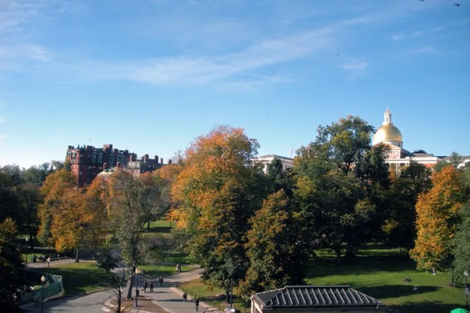 Vacation English Program в FLS Boston Commons, фото 13
