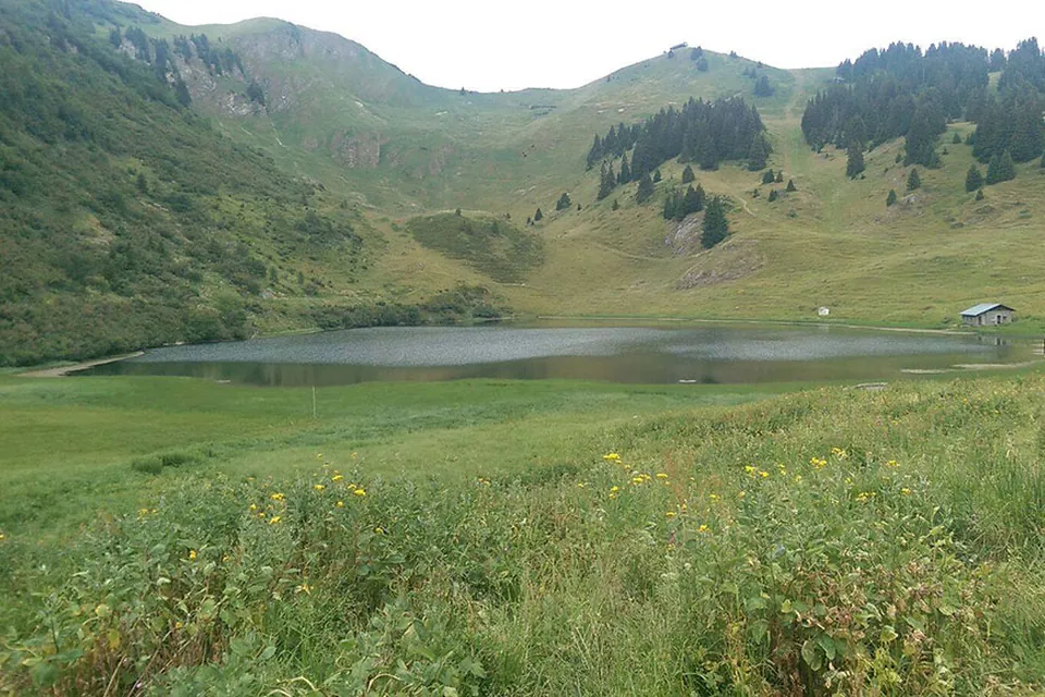 Летняя школа для подростков в Aiglon College, фото 8