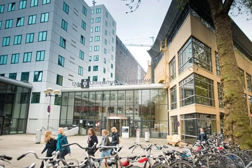Undergraduate Foundation Programme ONCAMPUS Amsterdam, фото 4
